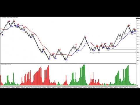 Video PRO Renko System