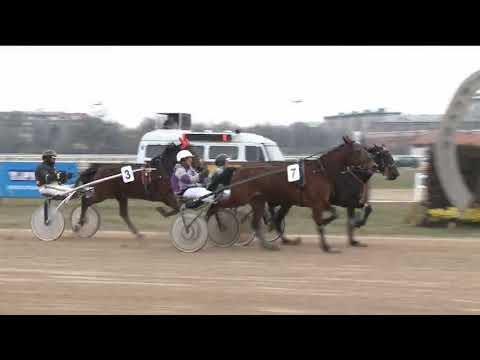 2018.03.24 5.futam ügető Kincsem Park