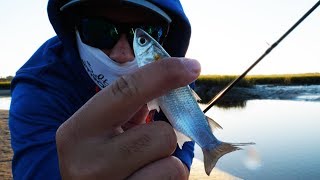 Fishing With Mullet For Redfish