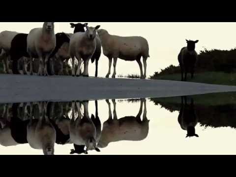 Sébastien Monod - Eléor (reprise Dominique A)