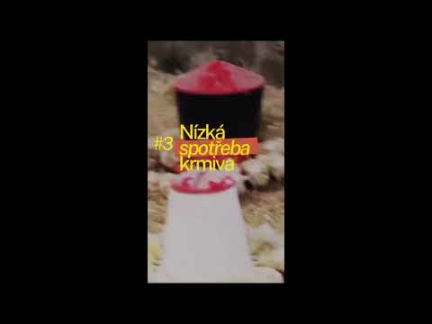 Podpořte spuštění české výroby kvalitních krmných směsí SENITA