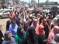شبيحة السيسي