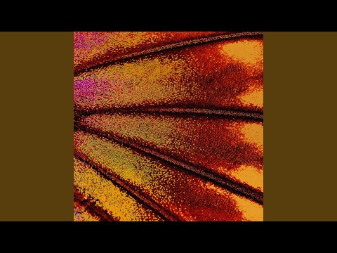 Jesus Changes Everything