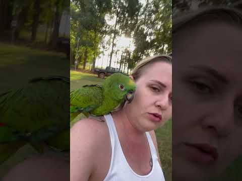 YouTube video