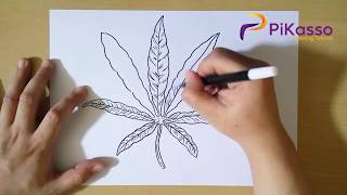 How to Draw a Pot Leaf step by step