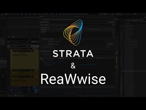 Strata and ReaWwise