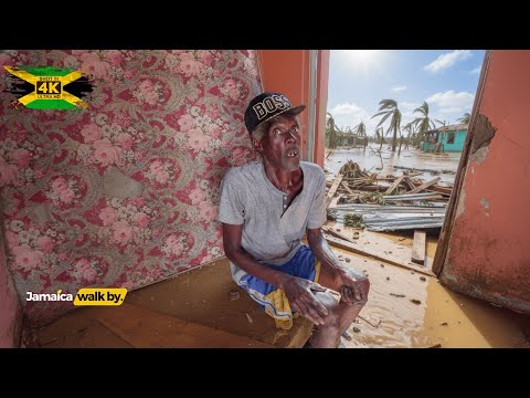 ✓⚠️ Lacovia Main Road Heartbreaking 💔 Walk Through After Melissa In Jamaica 🇯🇲