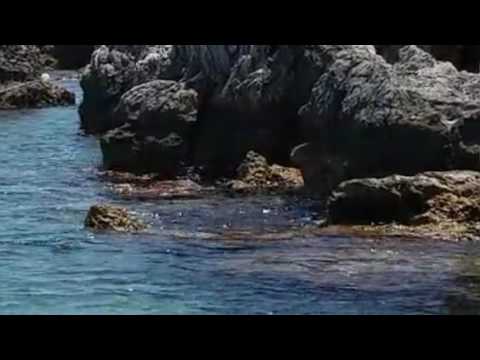 Meditativkilofon - Zennur Melodi