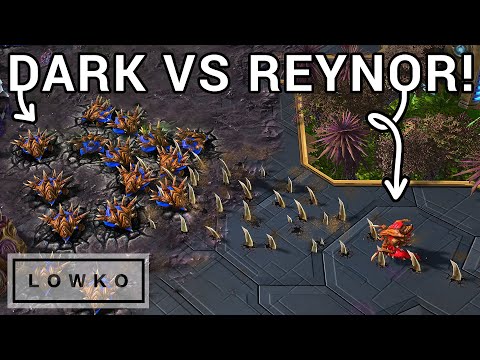 StarCraft 2: The ULTIMATE LATE GAME of Zerg vs Zerg! (Dark vs Reynor)