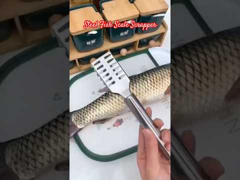 Stainless steel fish scale remover