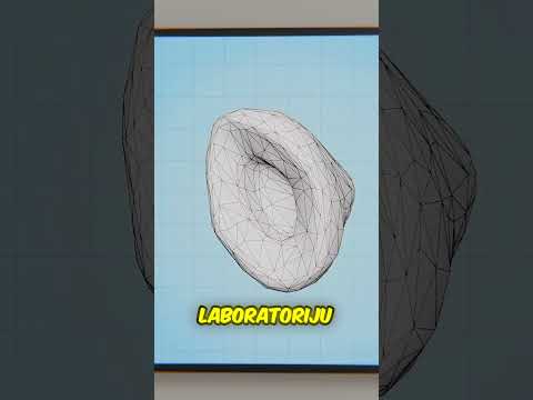 Vojni psi dobijaju TITANIJUMSKE zube… Evo zašto 🐕‍🦺#shortvideo #shortsfeed #shorts #short