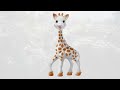 best teething toys for 3 month old