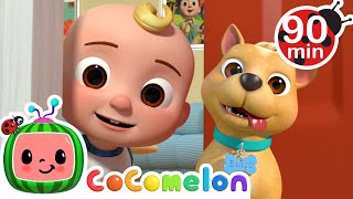 Download lagu The Search for Bingo! Where is He? | CoComelon | Animals for Kids | Sing Along | Learn about Animals mp3 Download lagu The Search for Bingo! Where is He? | CoComelon | Animals for Kids | Sing Along | Learn about Animals mp3