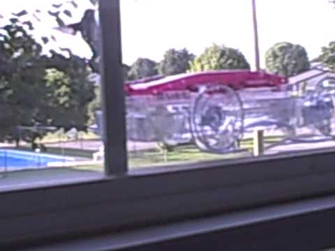 Window Hummingbird Feeder