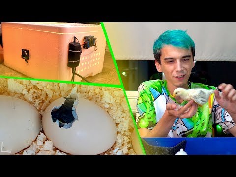 download lagu mp3 mp4 Kuluka Makinesi, download lagu Kuluka Makinesi gratis, unduh video klip Kuluka Makinesi