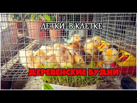 Детки в клетке и родители тоже. Жизнь в деревне.