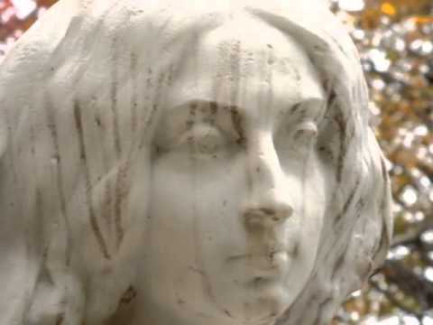 Laissez Verdure video