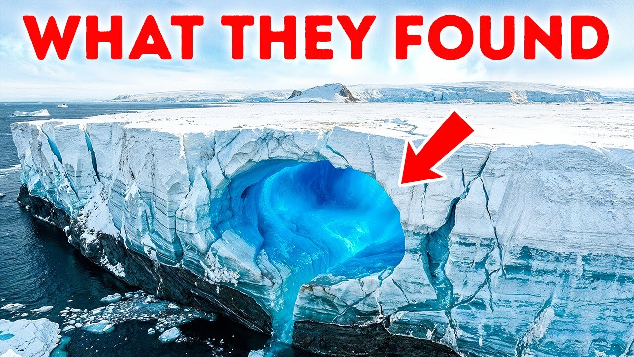 This Antarctic Find Changes What We Knew About Life on Earth