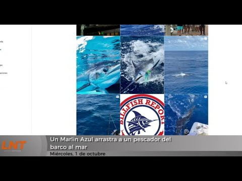 Un Marlin Azul arrastra a un pescador del barco al mar