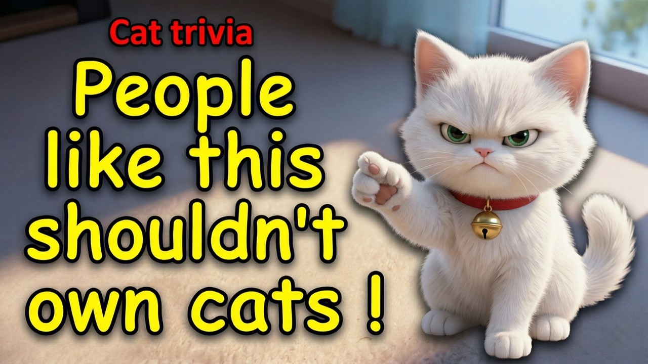 【Cat trivia】Here are five types of people who are not fit to own a cat!