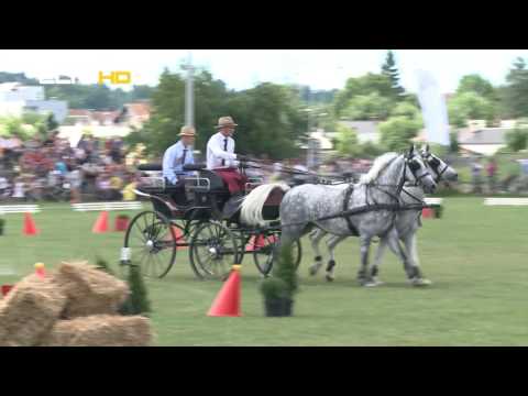 BL HRONIKA 13 06 17   PEHAR BANJALUKE
