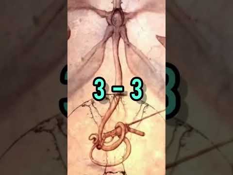 Who is stronger - Qu vs Gravital ( All Tomorrows Battle of Species ) SCI-Fi fight