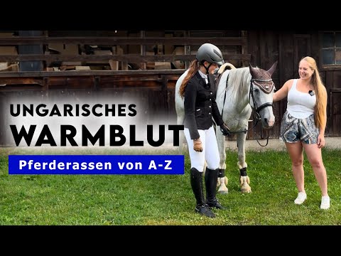 Pferderassen von A-Z | Ungarisches Warmblut - Der Profisportler unter den Pferden⚡