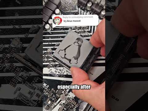 World's MOST Recognizable Penguin 🐧