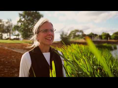 Love your enemies - Beathe Krueger