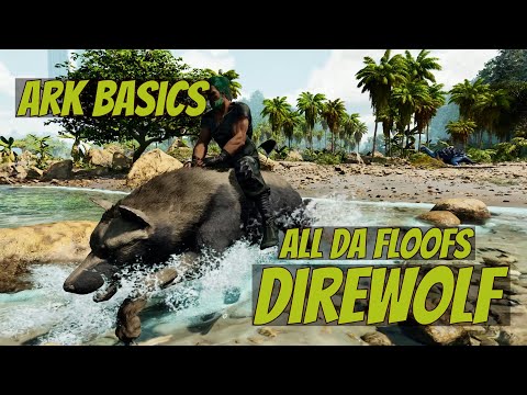 Direwolf - Ark Ascended Basics - Beginner's Guide - EVERYTHING YOU NEED TO KNOW!