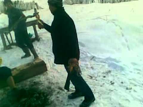 plugusorul cu prosti