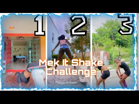 Mek e shake challenge | Lincoln 3dot, T&A twins| Who did it better?