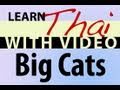 Learn Thai with Video - Big Cats