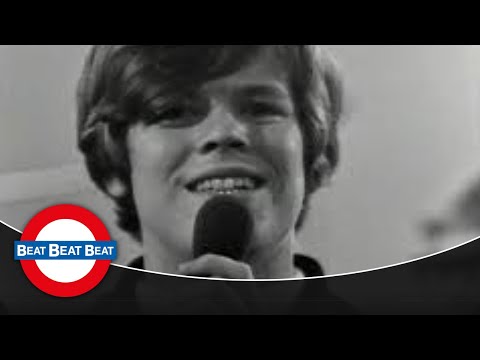 Herman's Hermits - Jezebel (1966)