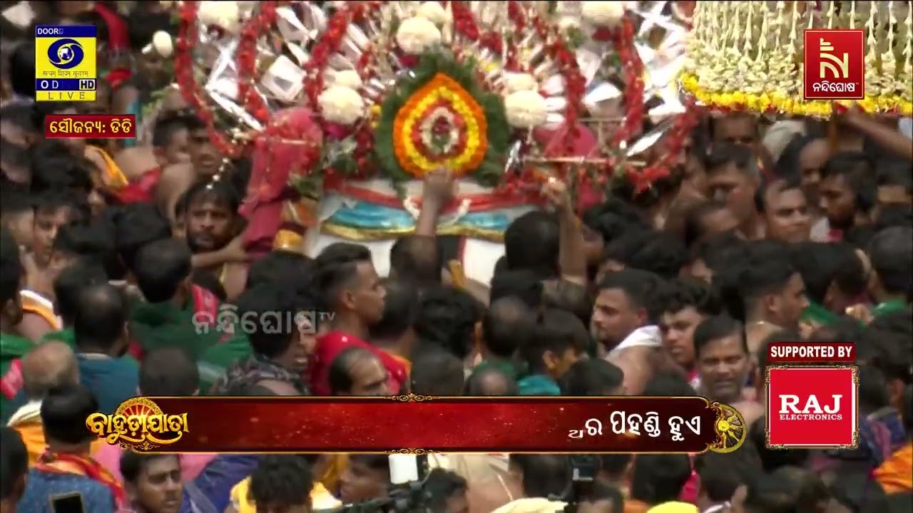 ଝୁଲି ଝୁଲି ବାହୁଡ଼ିଲେ କାଳିଆ ସାଆନ୍ତ: ଜୟ ଜଗନ୍ନାଥ ଧ୍ୱନିରେ