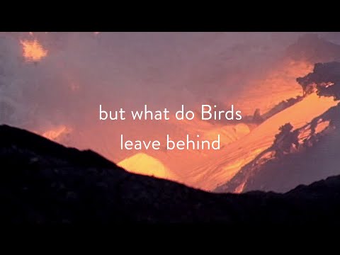 Video thumbnail for Skeletons