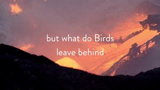 Rickie Lee Jones - Skeletons  (Lyric Video)