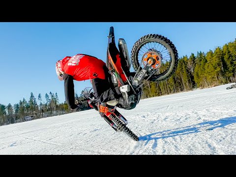 Kangaroo Stoppies on Ice