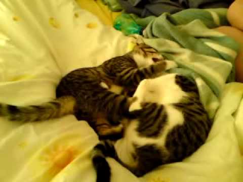 Morgens im Bett.....