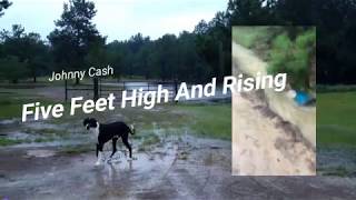 Five Feet High And Rising Johnny Cash (Flooding Fun)