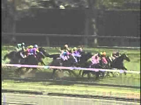 2005 Japanese 2000 Guineas (Satsuki-Sho)