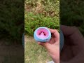 Pinch Music Toy Kibtoy Toys Toy