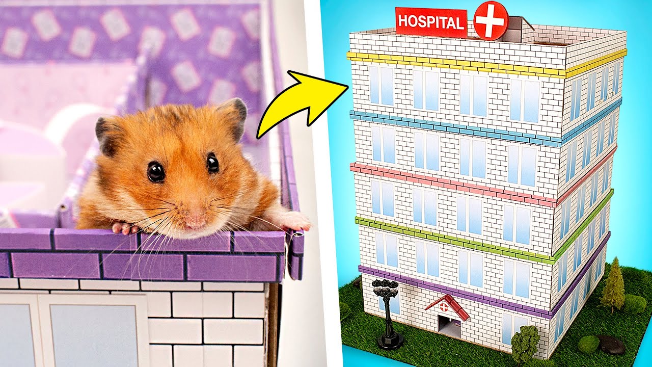 Watch Domowej roboty pięciopoziomowy szpital-labirynt dla chomika 🐹🏥❤️ now Domowej roboty pięciopoziomowy szpital-labirynt dla chomika 🐹🏥❤️