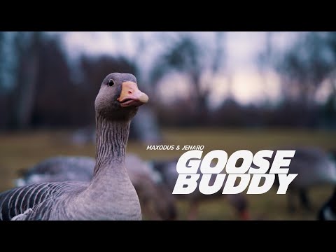 Maxodus x Jenaro - GOOSE BUDDY [offizielles musikvideo]