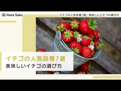 イチゴの最高品種