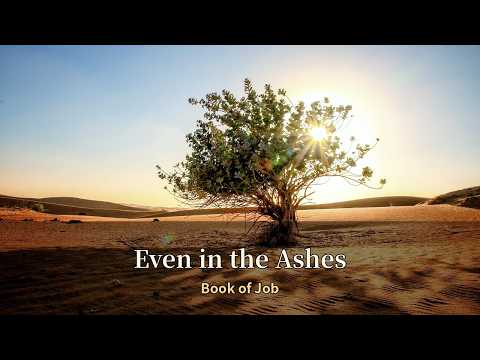 Even in the Ashes (Book of Job) | Catholic Bible Praise for …