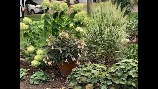 Mid September Garden Tour 2025