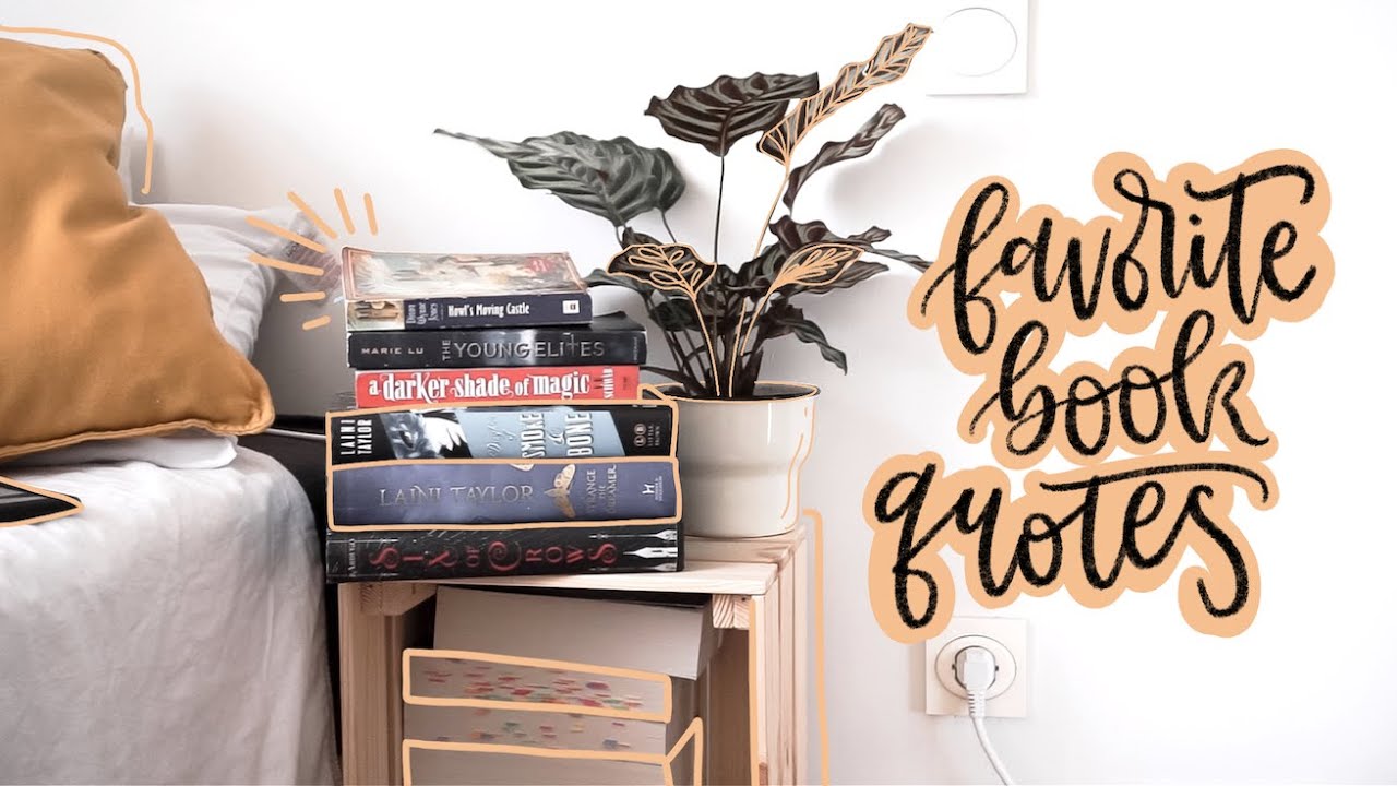 some of my all time favorite book quotes 📖