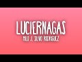 Milo J, Silvio Rodríguez - Luciérnagas (Letra/Lyrics)