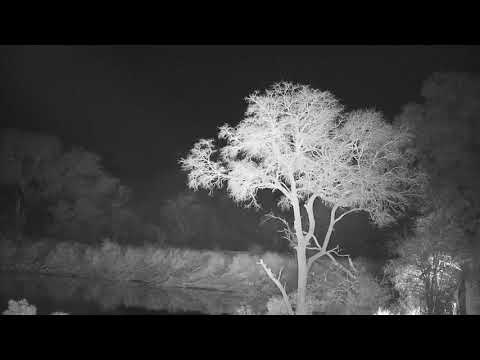 Djuma: Hyena chasing Impala on the dam wall - 18:33 - 09/13/20